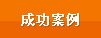 成功案例